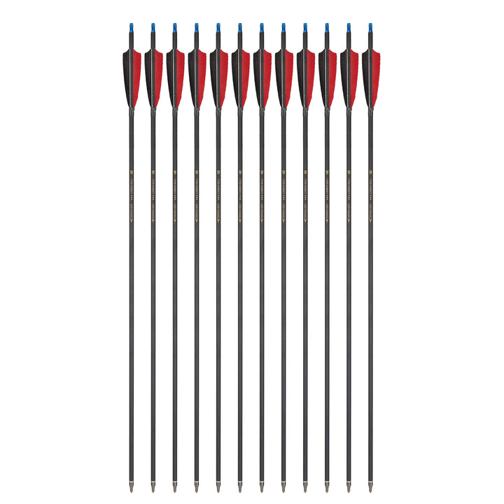 Huntingdoor 30 zoll Carbonpfeile mit 4" Truthahnfeder(12 Stück)