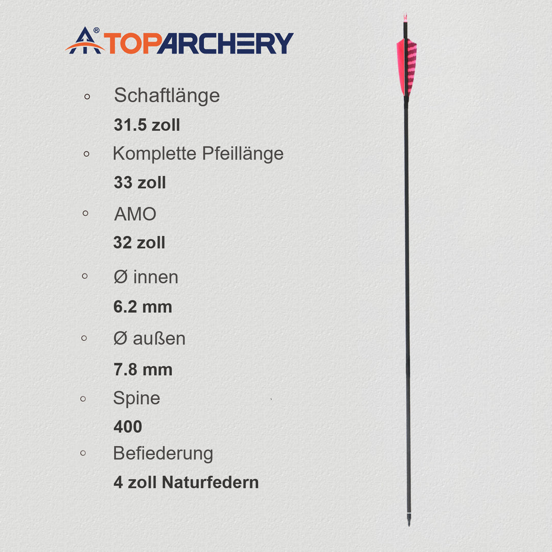 Toparchery 12 er 31.5 inch carbon pfeile für recurvebogen mit Farbenfrohe Federn