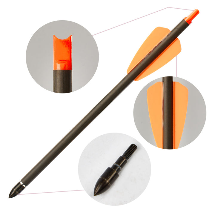 Huntingdoor 12x 7.5" Carbon Armbrustbolzen 2-Vane auswechselbare Spitzen