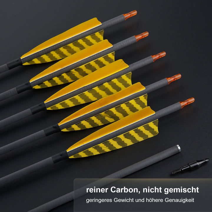 12 er 32" Pure  Carbon Pfeile mit 4" Truthahnfedern Spine 400 für Bogenschießen Recurvebogen