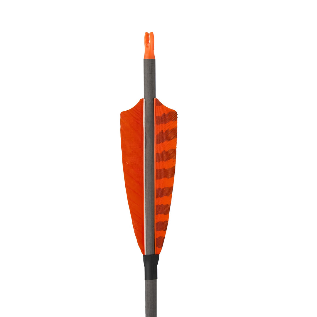 Huntingdoor 12 er 33 inch carbon pfeile für recurvebogen mit Farbenfrohe Federn