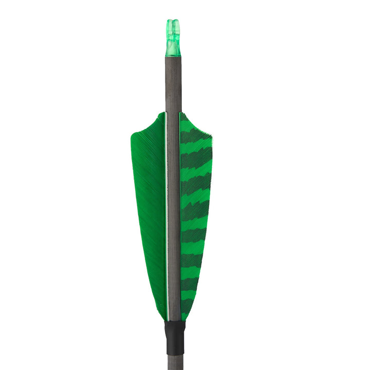 Huntingdoor 12 er 33 inch carbon pfeile für recurvebogen mit Farbenfrohe Federn