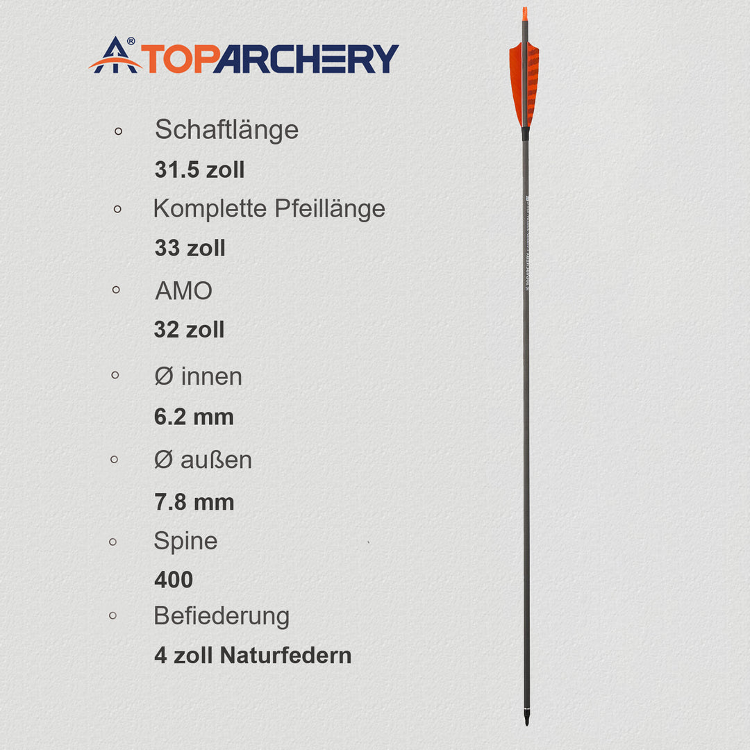 Toparchery 12 er 31.5 inch carbon pfeile für recurvebogen mit Farbenfrohe Federn