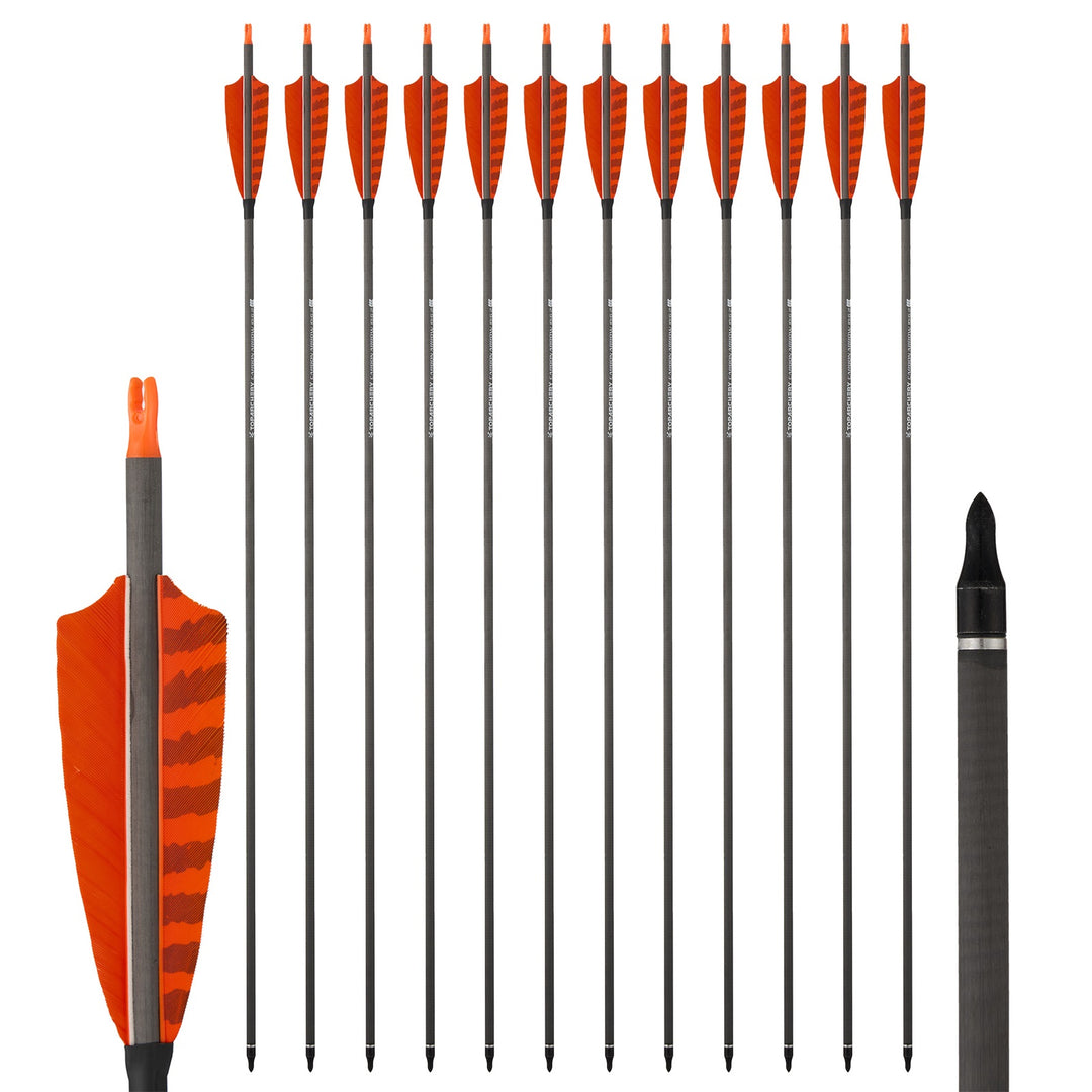 Huntingdoor 12 er 33 inch carbon pfeile für recurvebogen mit Farbenfrohe Federn