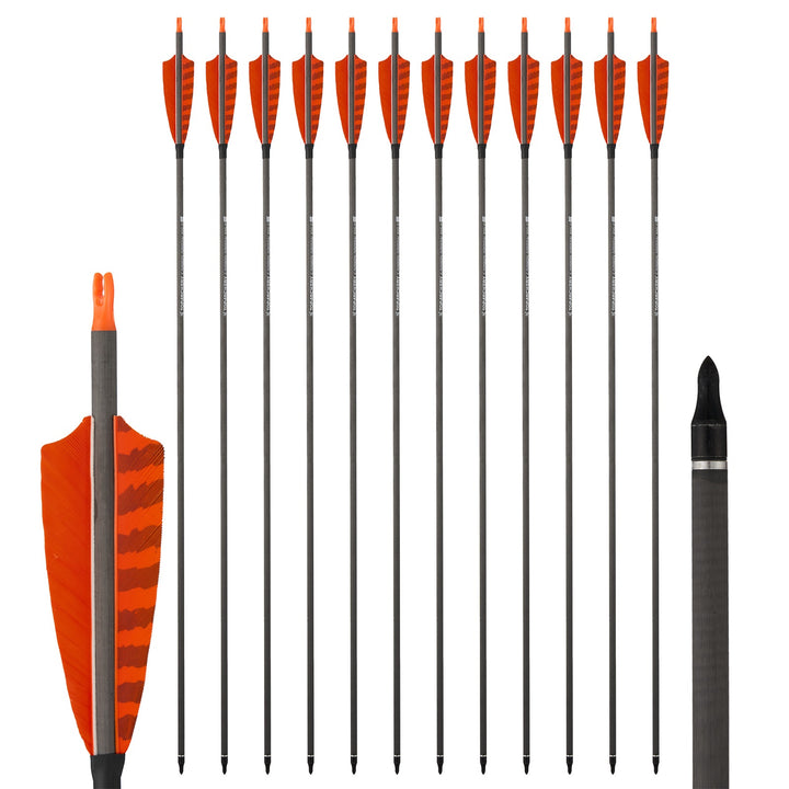 Huntingdoor 12 er 33 inch carbon pfeile für recurvebogen mit Farbenfrohe Federn